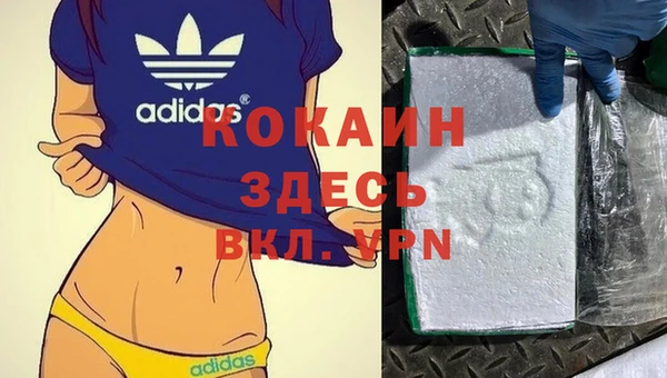 соль курить ск Алзамай